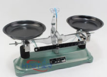 Table Balance Scale 200g School Experiment Weighing Equipment Teaching Equipment (2)