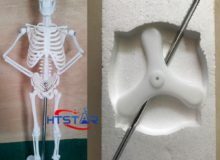 Human Skeleton Model 45cm Biological Teaching Models With Plastic Base (2)