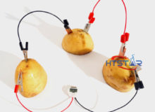 DIY Fruit Battery Kits Primary School Science and Educational Toys STEM Kits HTT0002 (4)-2