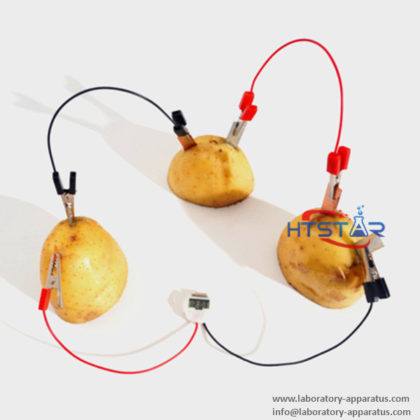 DIY Fruit Battery Kits Primary School Science and Educational Toys STEM Kits HTT0002