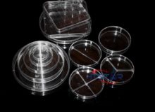 Plastic Petri Dish Disposable Sterilized Round Square Laboratory Consumable Wholesale (1)